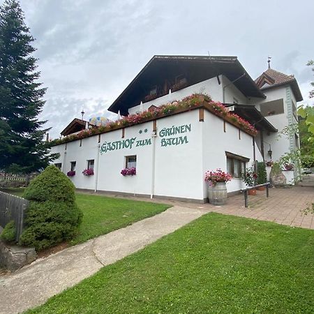 Gasthof Zum Gruenen Baum Verano 外观 照片