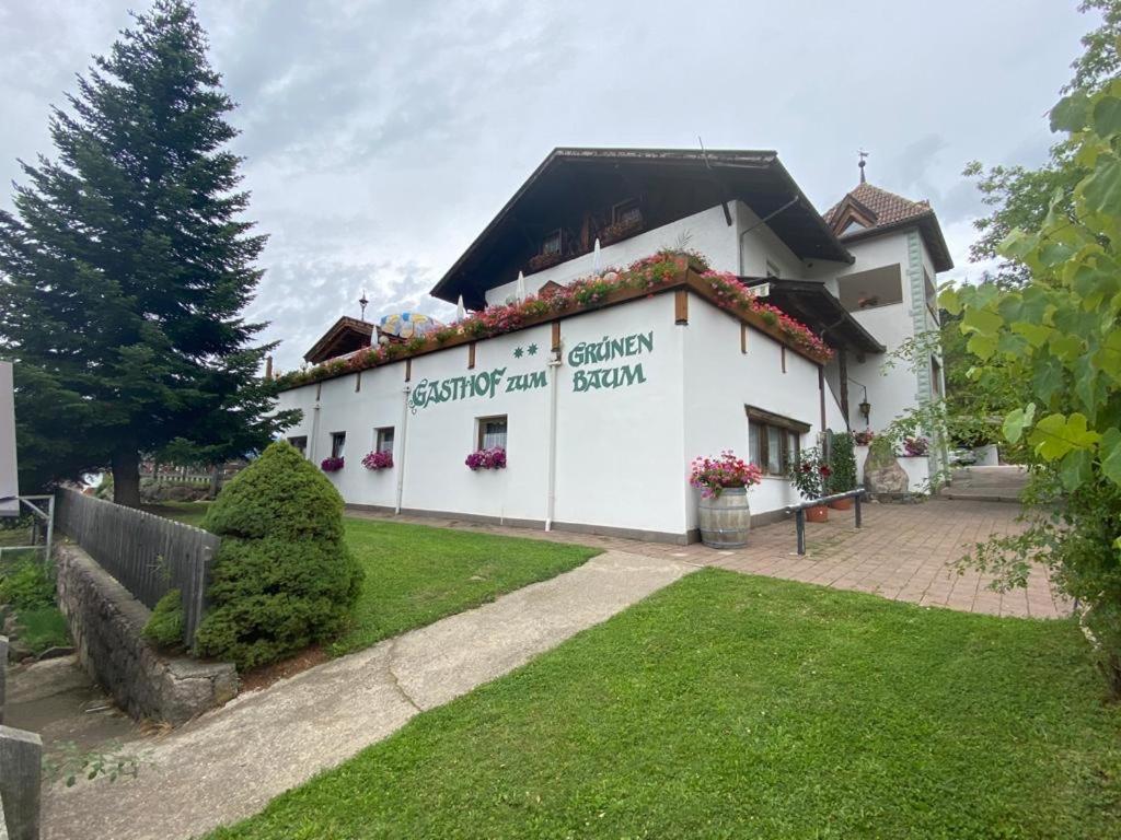 Gasthof Zum Gruenen Baum Verano 外观 照片