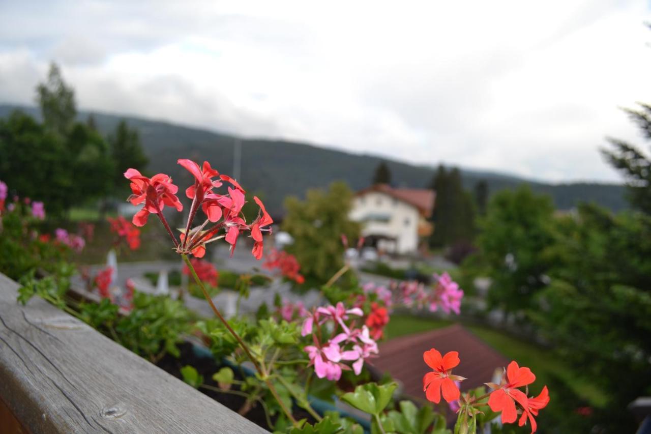 Gasthof Zum Gruenen Baum Verano 外观 照片