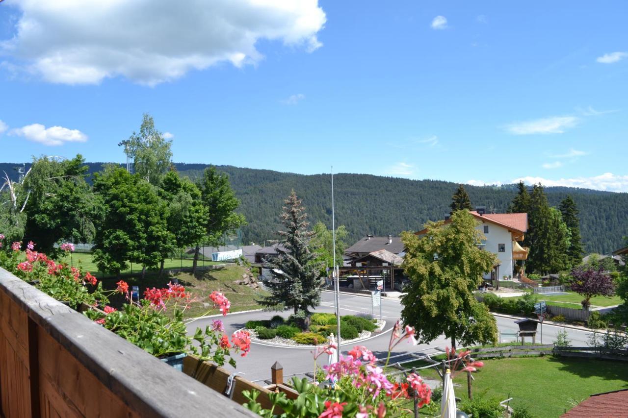 Gasthof Zum Gruenen Baum Verano 外观 照片