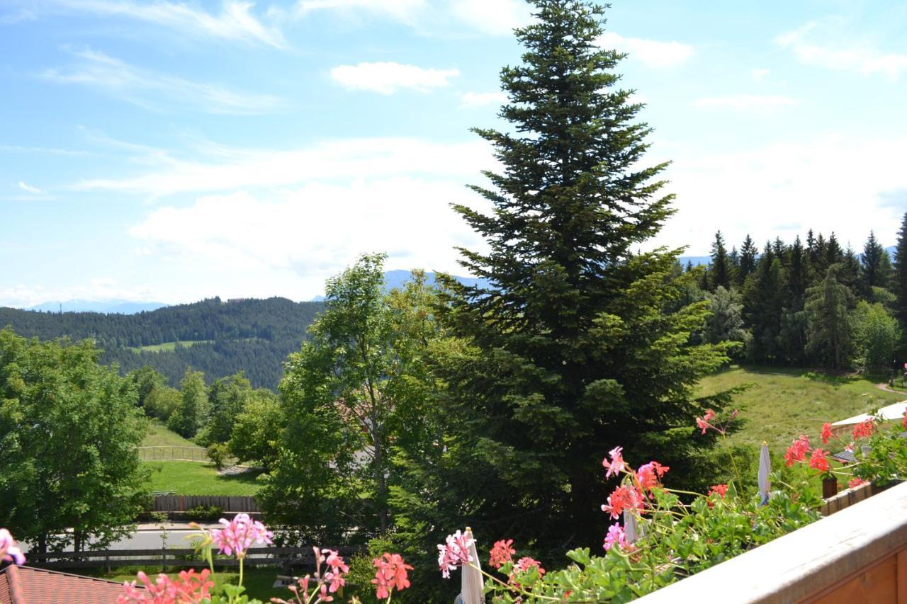 Gasthof Zum Gruenen Baum Verano 外观 照片